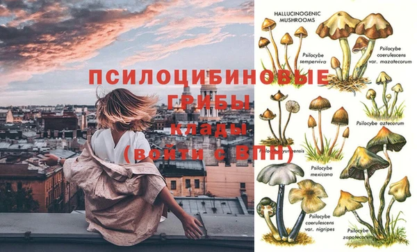 соль курить ск Алексин