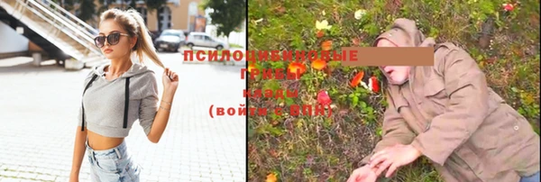 дмт Алзамай