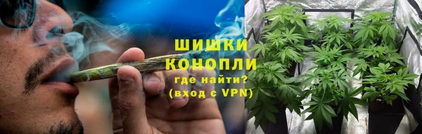 дживик Аркадак