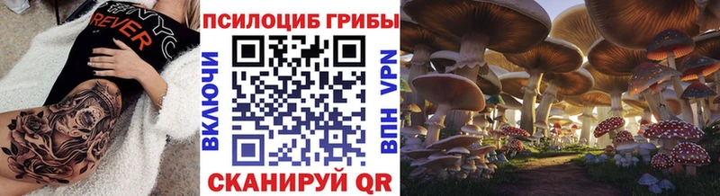 Галлюциногенные грибы Psilocybe  Купить  Топки 